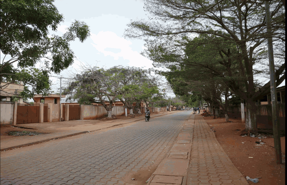 Abomey(Exploring the Dahomey Kingdom)