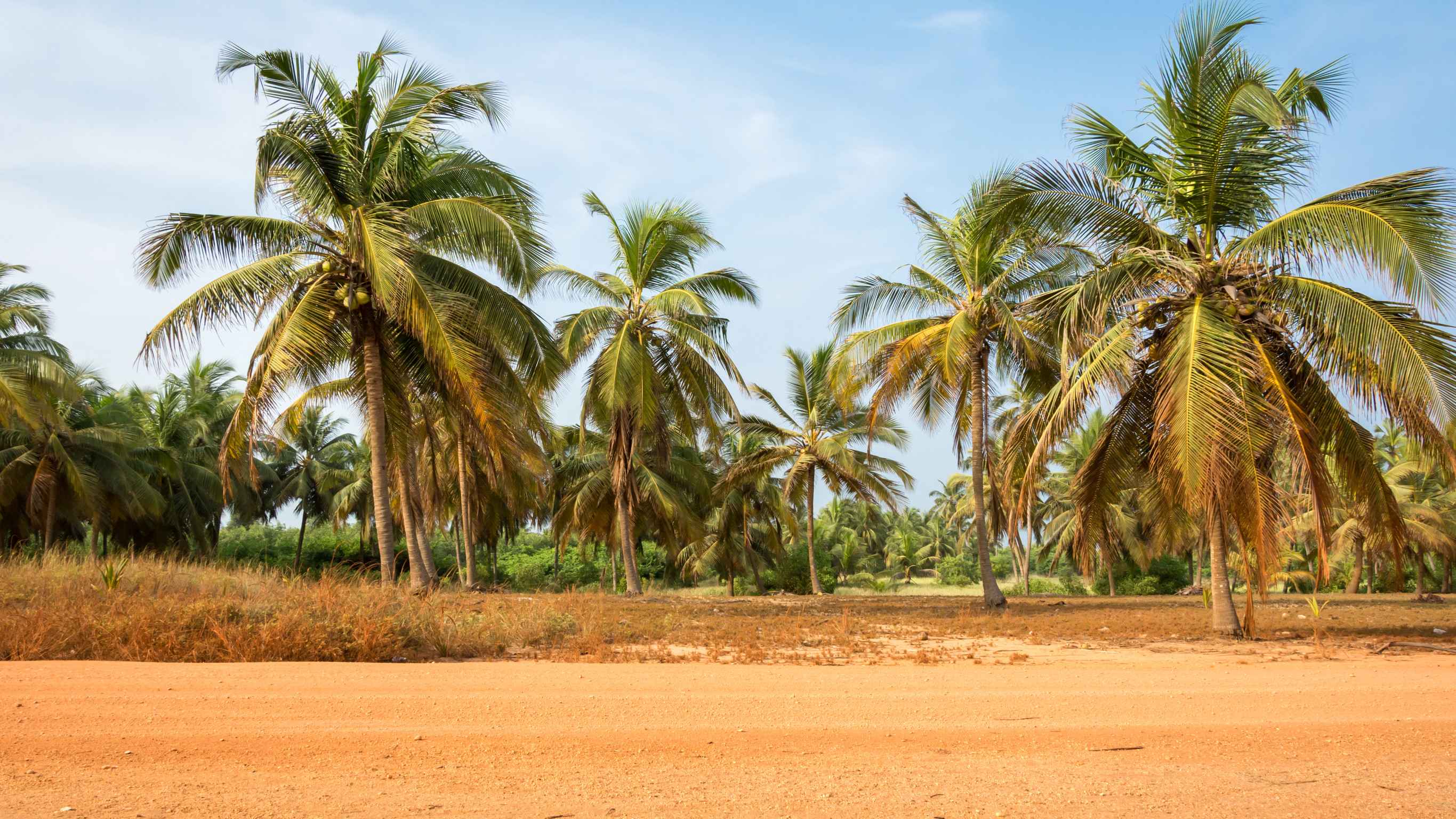 Benin eVisa for Cocos (Keeling) Islands Citizens