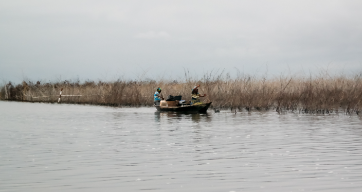Embrace the bustle of Cotonou