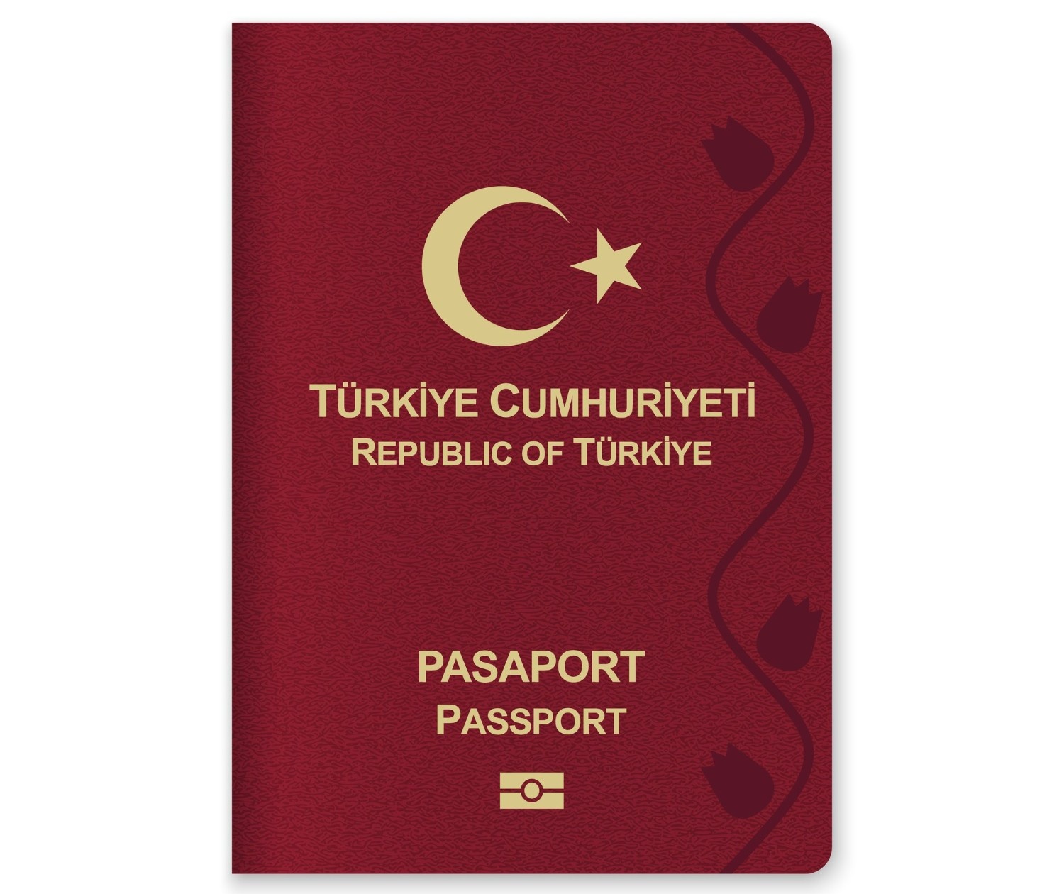 Turkey Passport