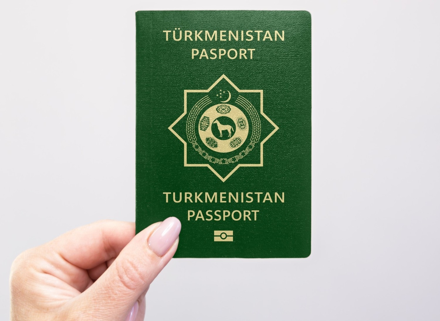 Turkmenistan Passport Held In Hand